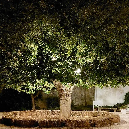 Bed & Breakfast Masseria San Martino 3*