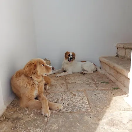 Masseria San Martino 4* Полиньяно-а-Маре