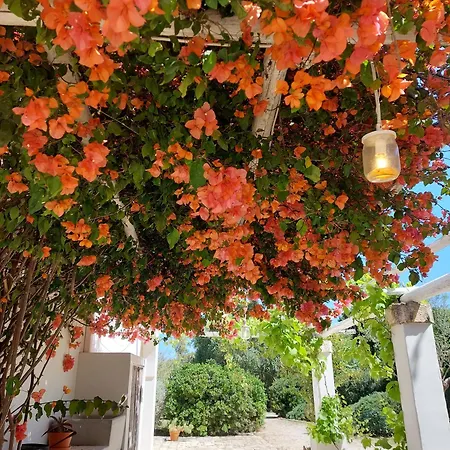 Masseria San Martino 4*