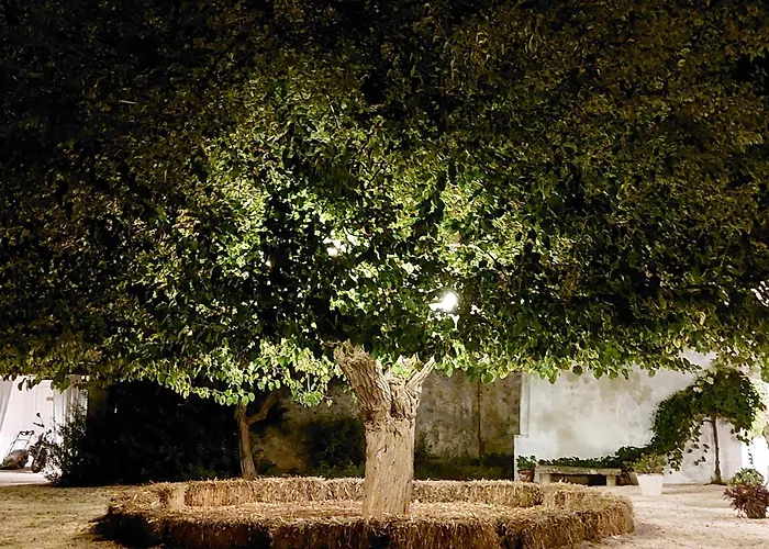 B&B Masseria San Martino 4*